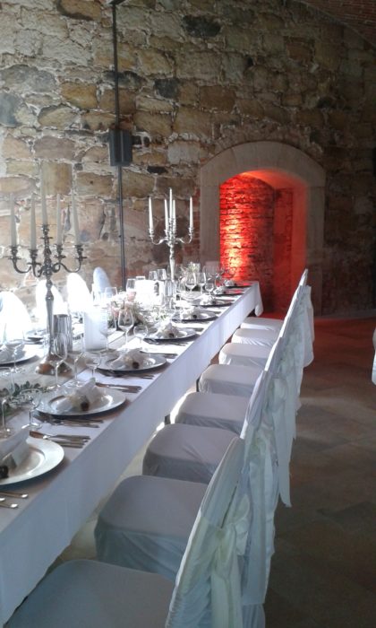 Schloss Eyrichshof Saal